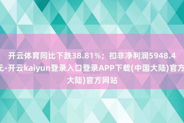 开云体育同比下跌38.81%；扣非净利润5948.44万元-开云kaiyun登录入口登录APP下载(中国大陆)官方网站